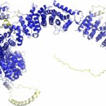 «AlphaFold 3» sagt Struktur aller Moleküle des Lebens voraus