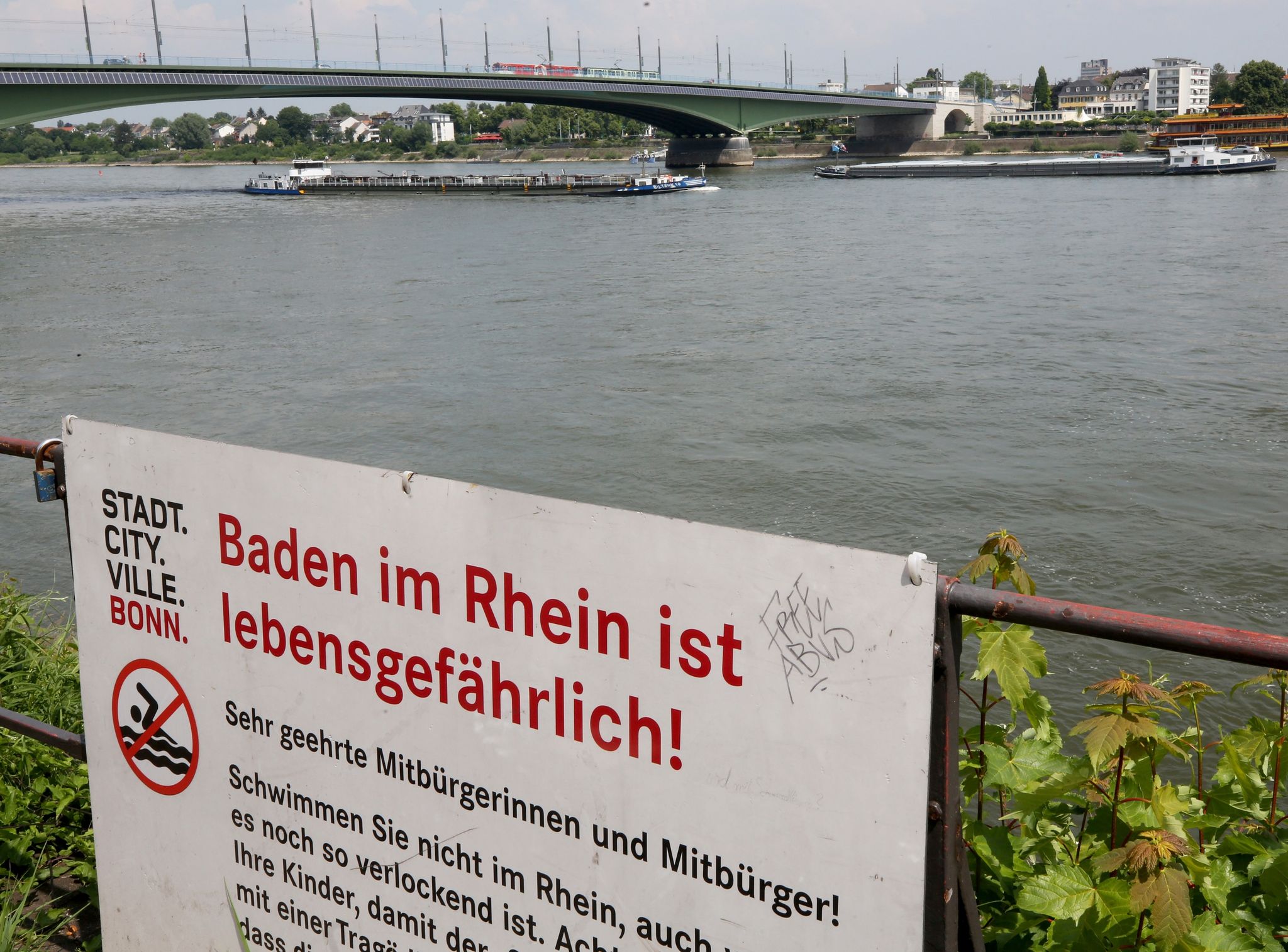 Warum das Schwimmen in Rhein und Co. so gefährlich ist