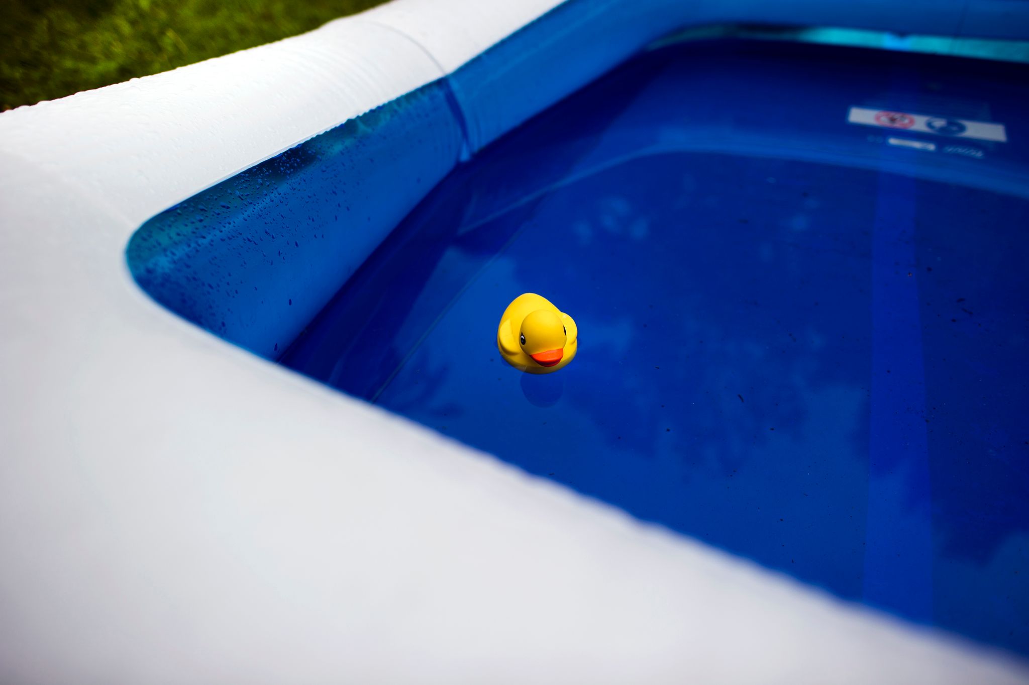 So sichern Sie Ihren Pool für Kinder ab