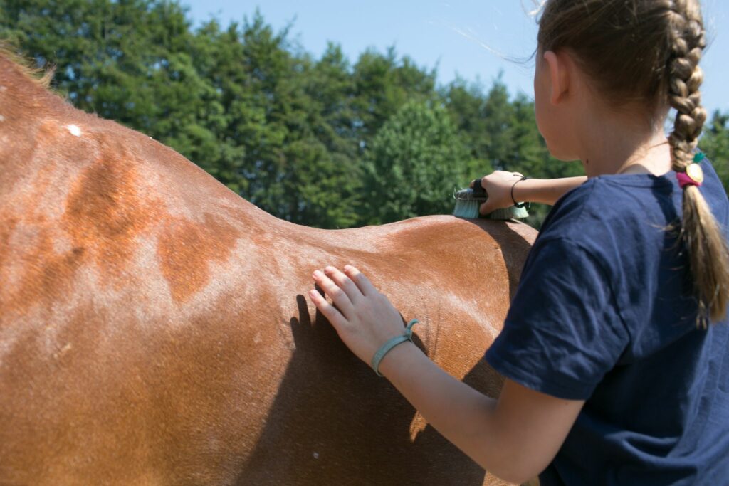 Ein Pferd, zwei Reiter: Eine gute Idee?