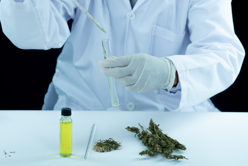 Ein Wissenschaftler in einem weißen Laborkittel und Handschuhen führt eine Untersuchung mit einer Pipette und einem Reagenzglas durch, um eine grüne Flüssigkeit zu analysieren. Auf dem Tisch liegen eine Flasche mit Cannabisöl, getrocknete Cannabispflanzen und Samen.