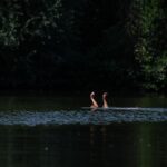 6 typische Gefahren beim Baden – und wie man sich schützt