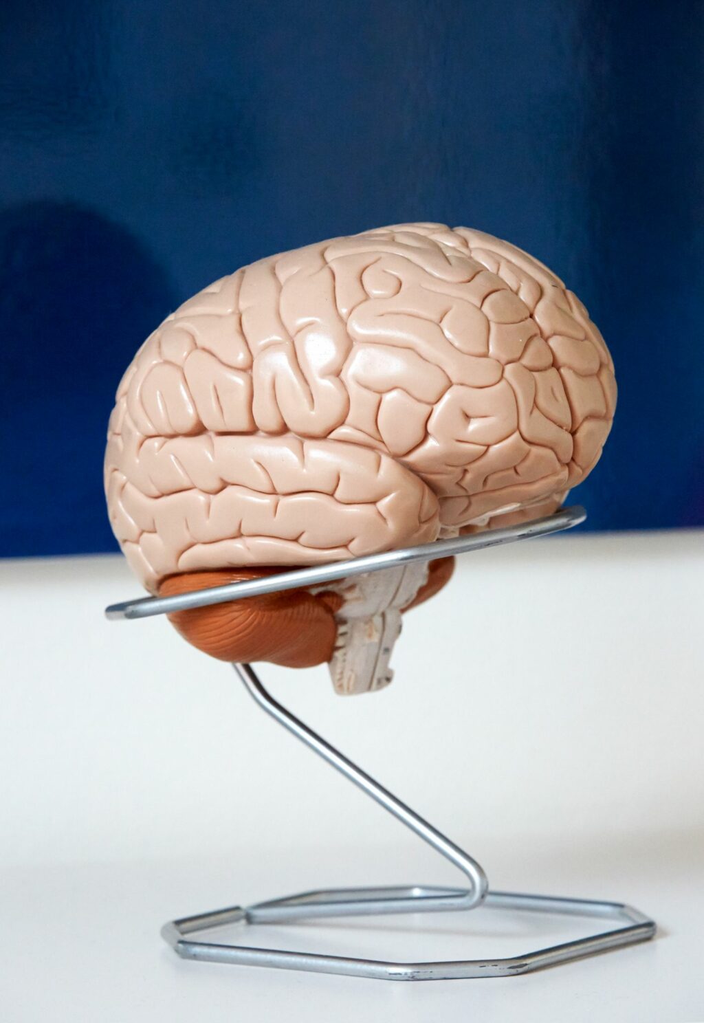 Dad Brain: Wie und wozu sich das Gehirn von Vätern verändert