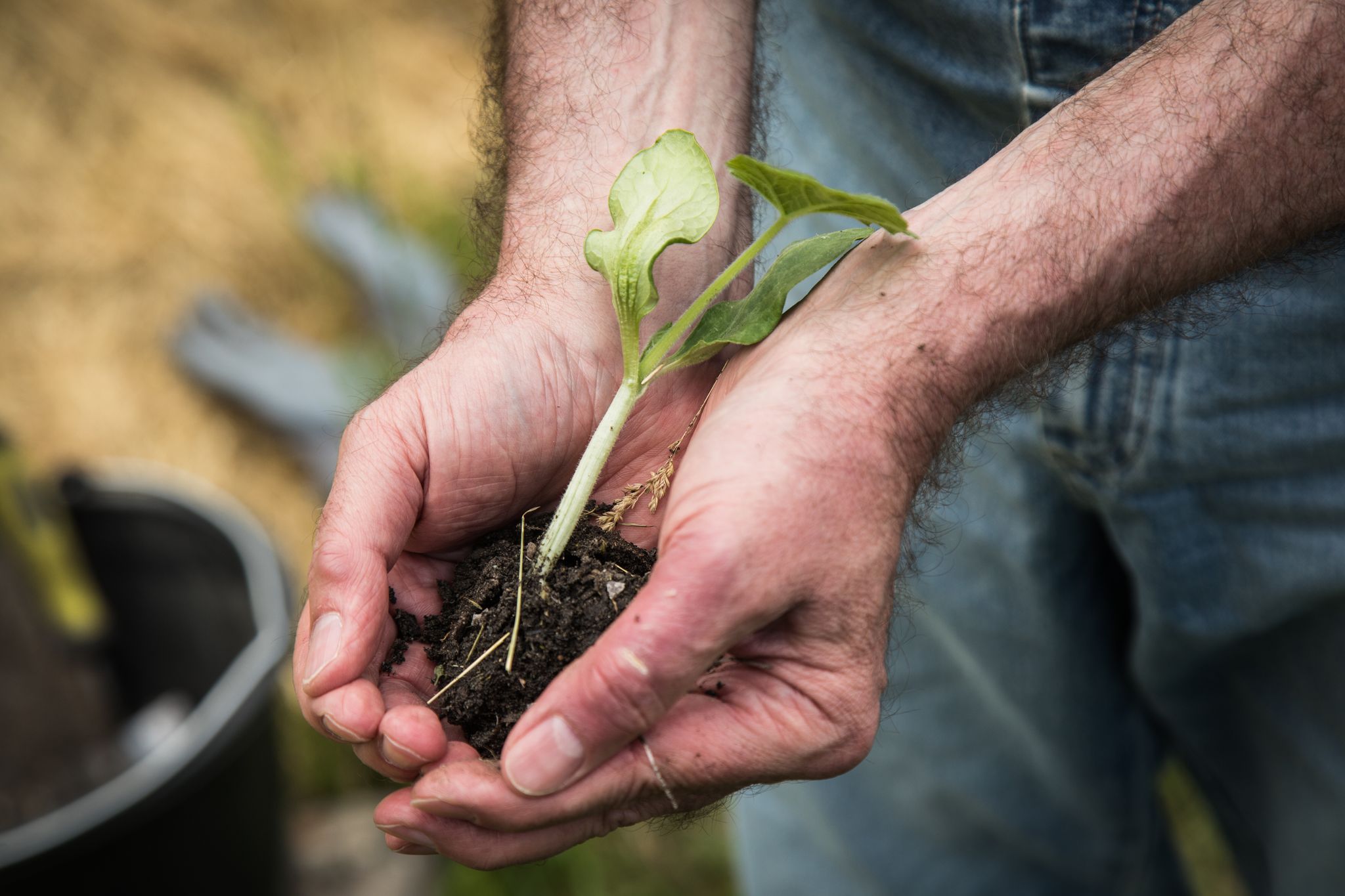 Umfrage: Gartenarbeit tut der Seele gut