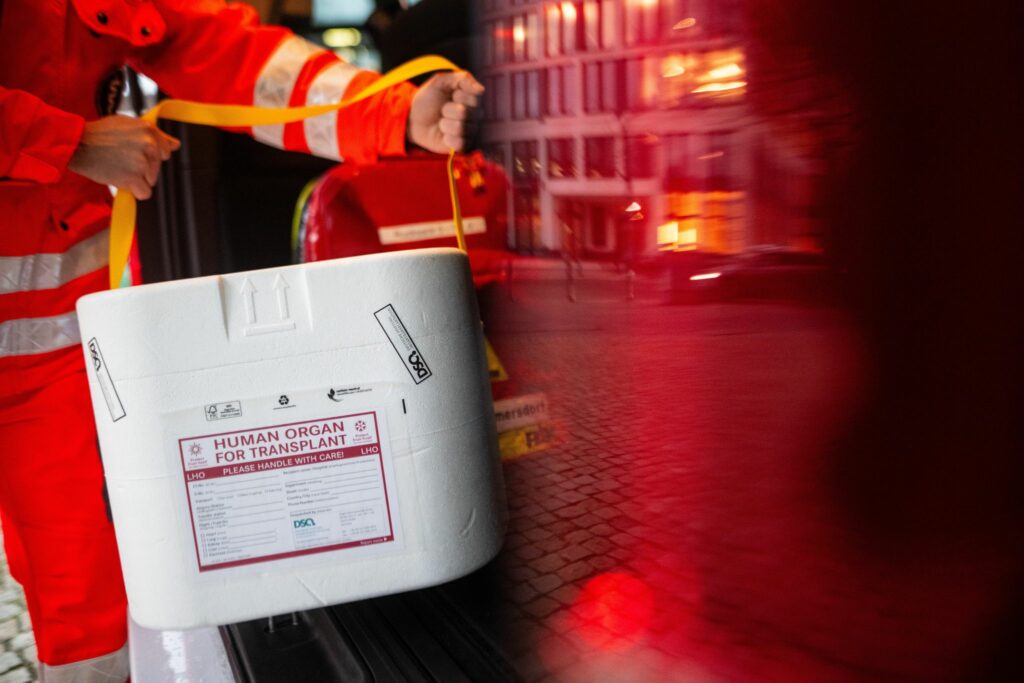 Organspende-Entscheidung festhalten: Diese Wege gibt es