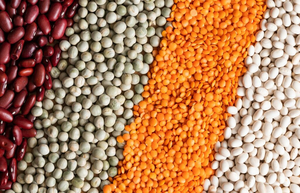 Eiweißbedarf pflanzlich decken? Worauf es dabei ankommt